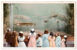 Children At Belle Isle Aquarium